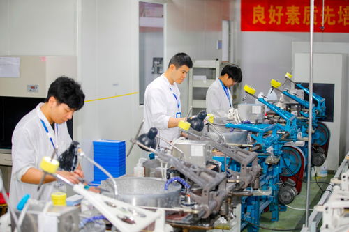 多措并舉促發展 金融活水精準澆灌計算機系統服務科創之花